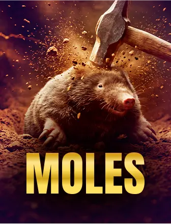 Moles arcade game on Dreambook